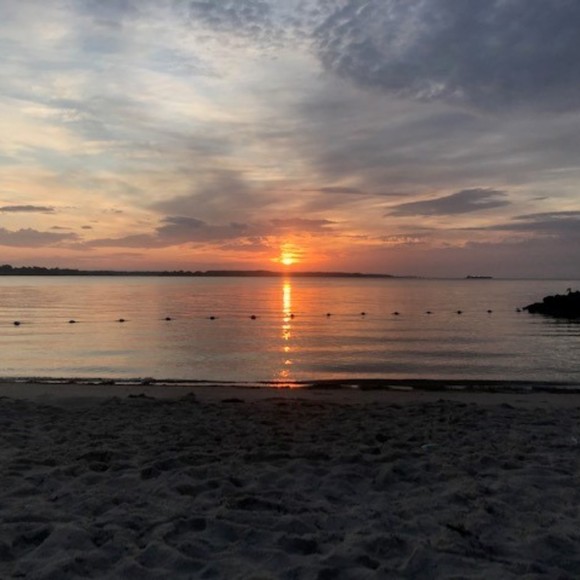 Meet your Posher, Nanice - Picture 1 of 1